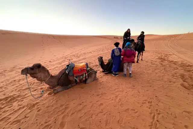 Primera luz del día sobre camellos echados al lado de un campamento de Merzouga