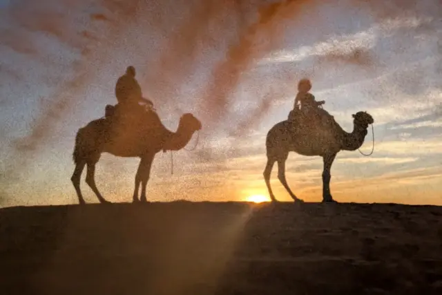 Fila de camellos atravesando las dunas de Erg Chebbi, en Merzouga, con la luz del atardecer